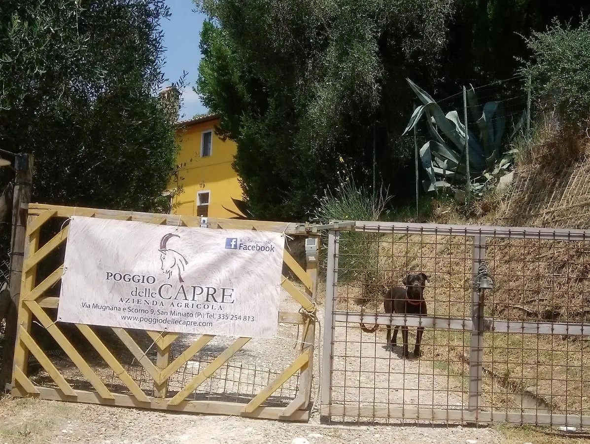 Guest house Poggio Delle Capre Hotel San Miniato