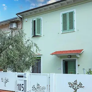 Ulivo Gaio San Miniato