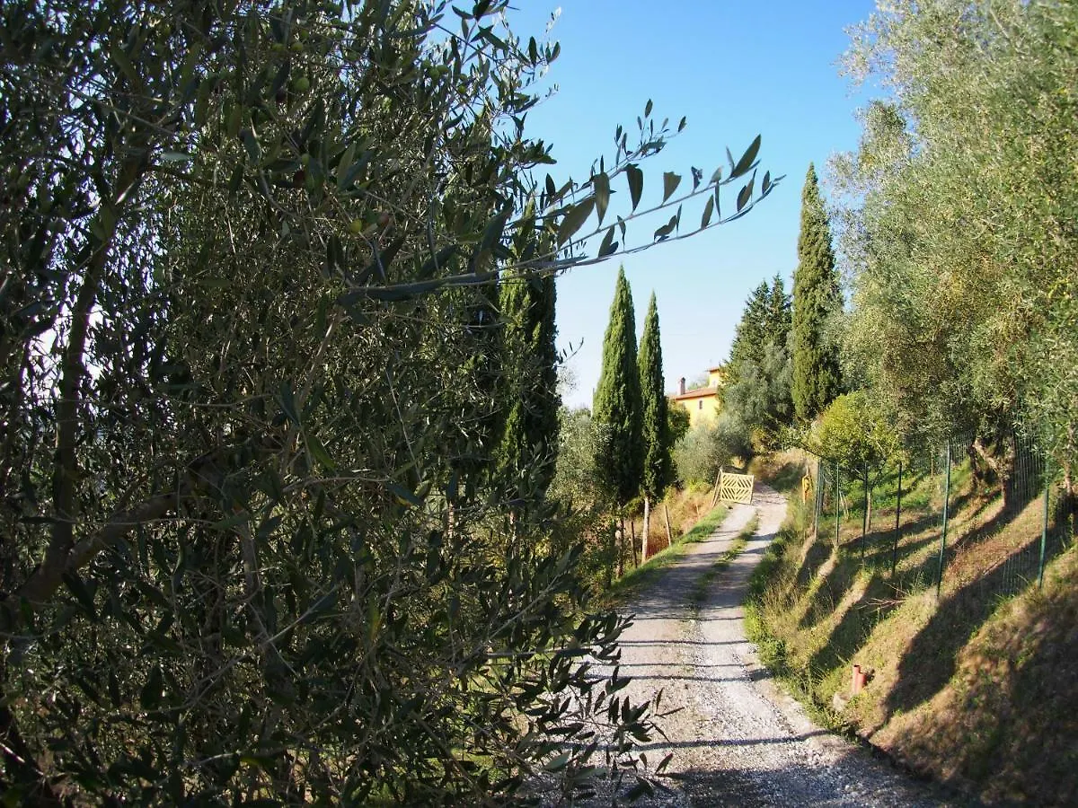 Guest house Poggio Delle Capre Hotel San Miniato Italy